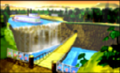 DK'sJungleParkway