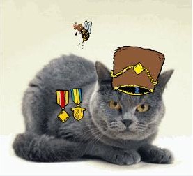 Fil:Uten navn.jpg