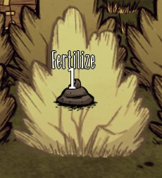 Bush.jpg