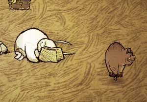 Bunnyman pig.png