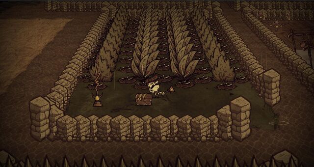 File:Booby trapped Berry farm.jpg