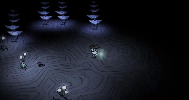 File:Blue Forest Stand.jpg