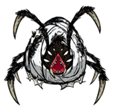 Araña reina