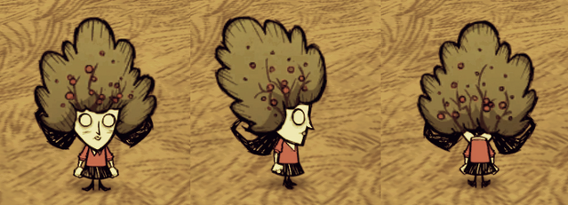 File:Bush Hat Willow.png