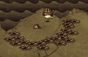 Hound trap