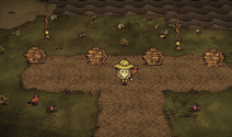 Bee farm(Rask).png