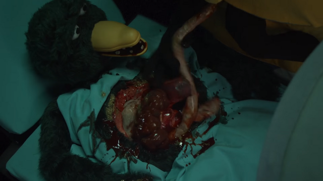File:BirdGuyMonsterCanOrgans.png