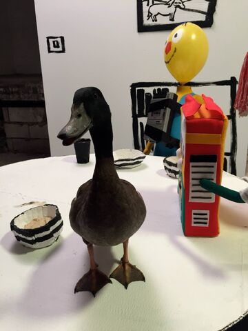 File:DHMIS4 Duck.jpg