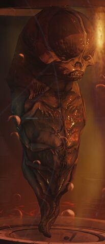 File:Fetus2016.jpg