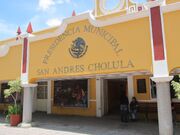 Sanandrescholula.jpg