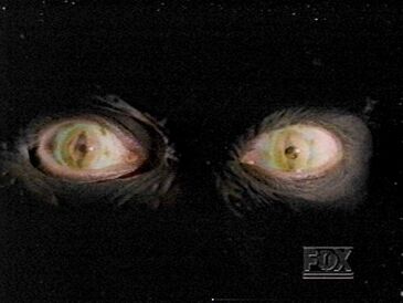 Eyes