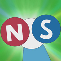 Huy hiệu nam châm N-S