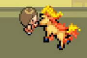 Ponyta's Owner