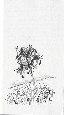 Archivo:11.jpg