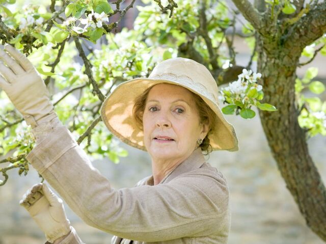 File:Downton-abbey-season-5-isobel.jpg