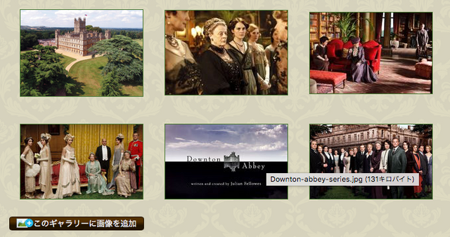 ファイル:Gallery view.png