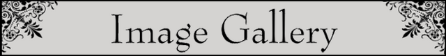 File:Image Gallery section title.png