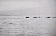 Ogopogo