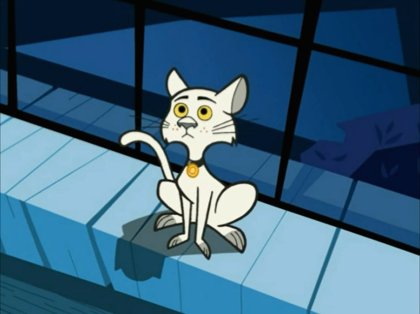 Maddie the cat  Danny Phantom  Wiki FANDOM powered by Wikia