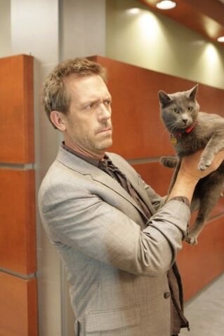 Archivo:Here Kitty.jpg