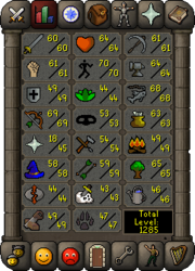 Skills tab