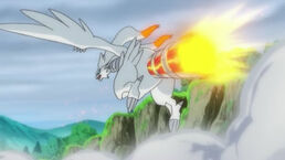 Reshiram.jpg