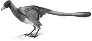 Urvogel.jpg