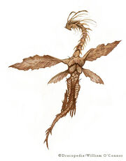 OConnorJabberwocky.jpg