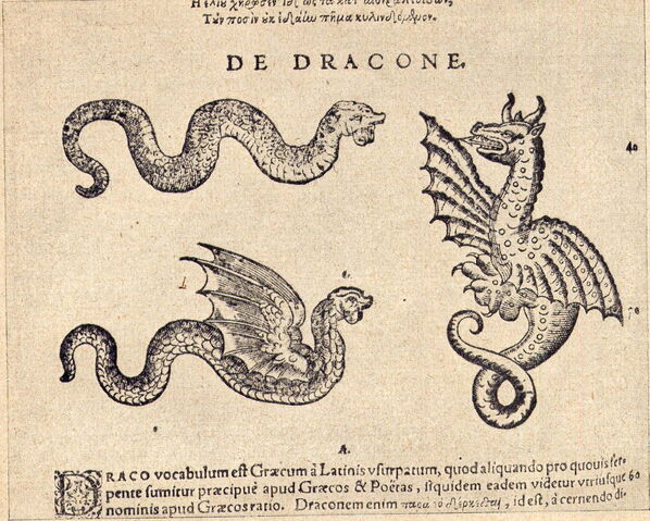 Datei:Gessners Schlangenbuch-Drache.jpg