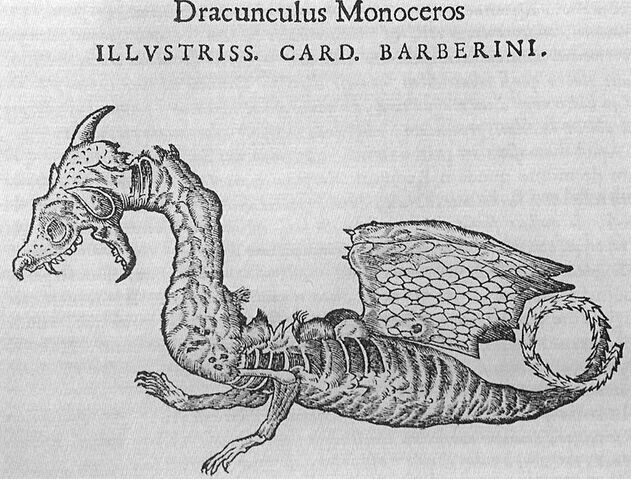 Datei:FaberDrache.jpg