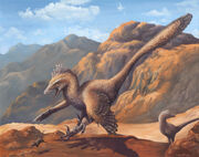 Velociraptor.jpg