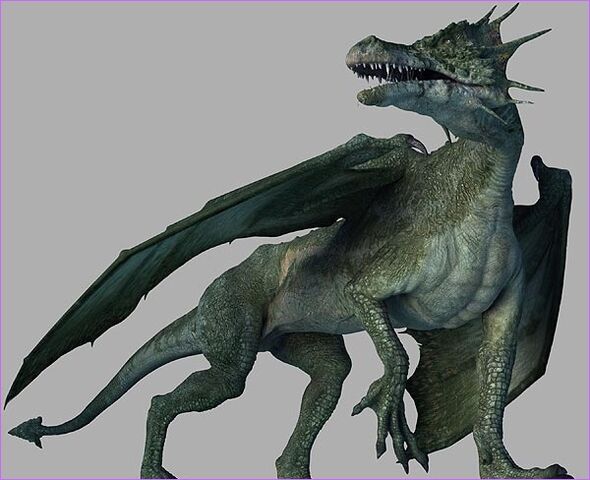 Datei:Europäischer Drache.jpg