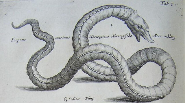 Datei:Serpens marinus.jpg
