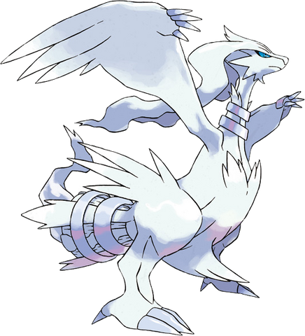 Datei:Reshiram.png