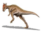 LebendrekonstruktionDracorex.jpg
