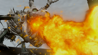 Knochenknacker Feuer.png