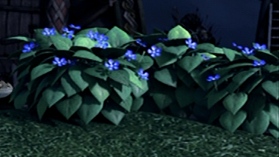 Blauer Oleander.png