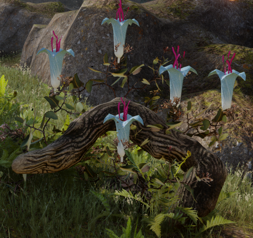 File:Crystal Grace.png