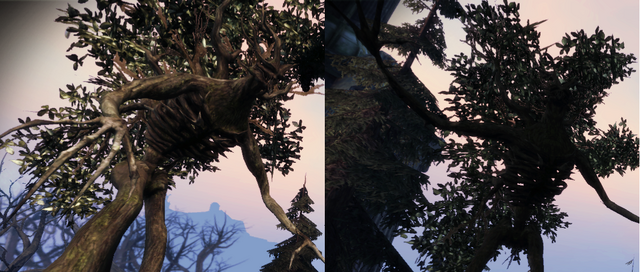 File:From the Living Wood.png