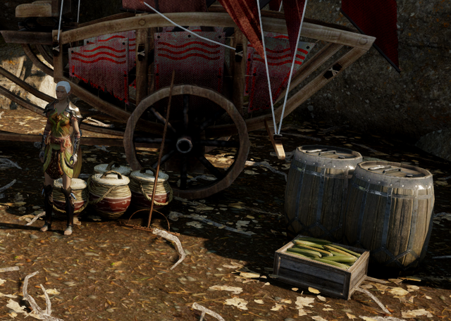 File:Master Taniel's Store.png