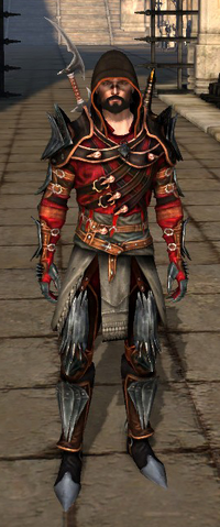 File:Championrogue.png