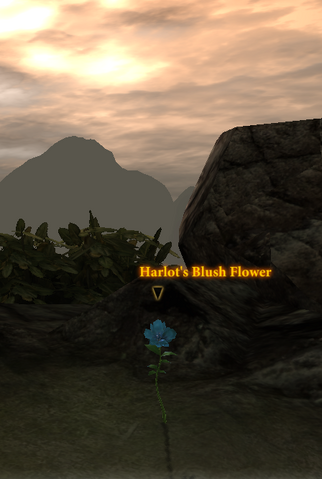 File:Harlot's Blush Flower.png