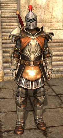 File:KirkwallCityGuardLieutenant.png
