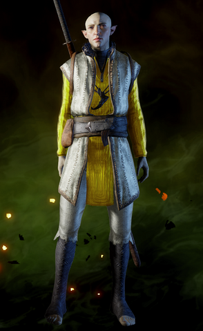 File:ReinforcedApprenticeArmorSolas.png