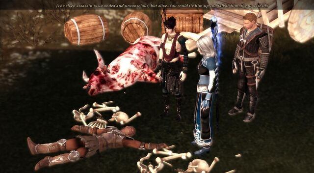 File:Meeting Zevran.jpg