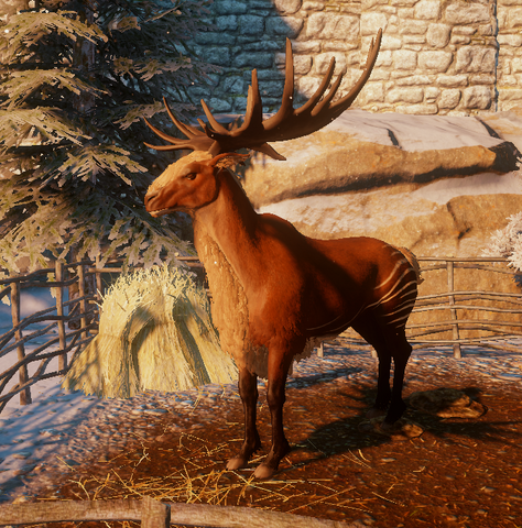 File:Red Halla.png