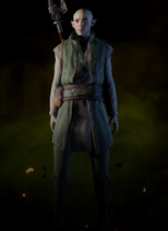 File:Solas Apprentice Coat.png