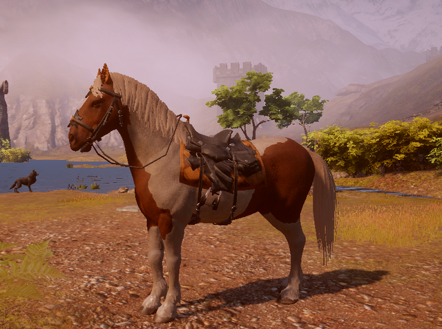 File:Anderfel Courser.png