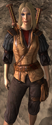 File:Guardian of Enasalin.png