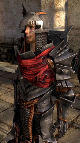 File:MantleOfTheChampion-Warrior.png